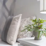 Exclusive Downtown Dream By Prestige Gallery